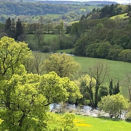 Llandysul Stables Cottage, Idyllic Location Stunning Views מראה חיצוני תמונה