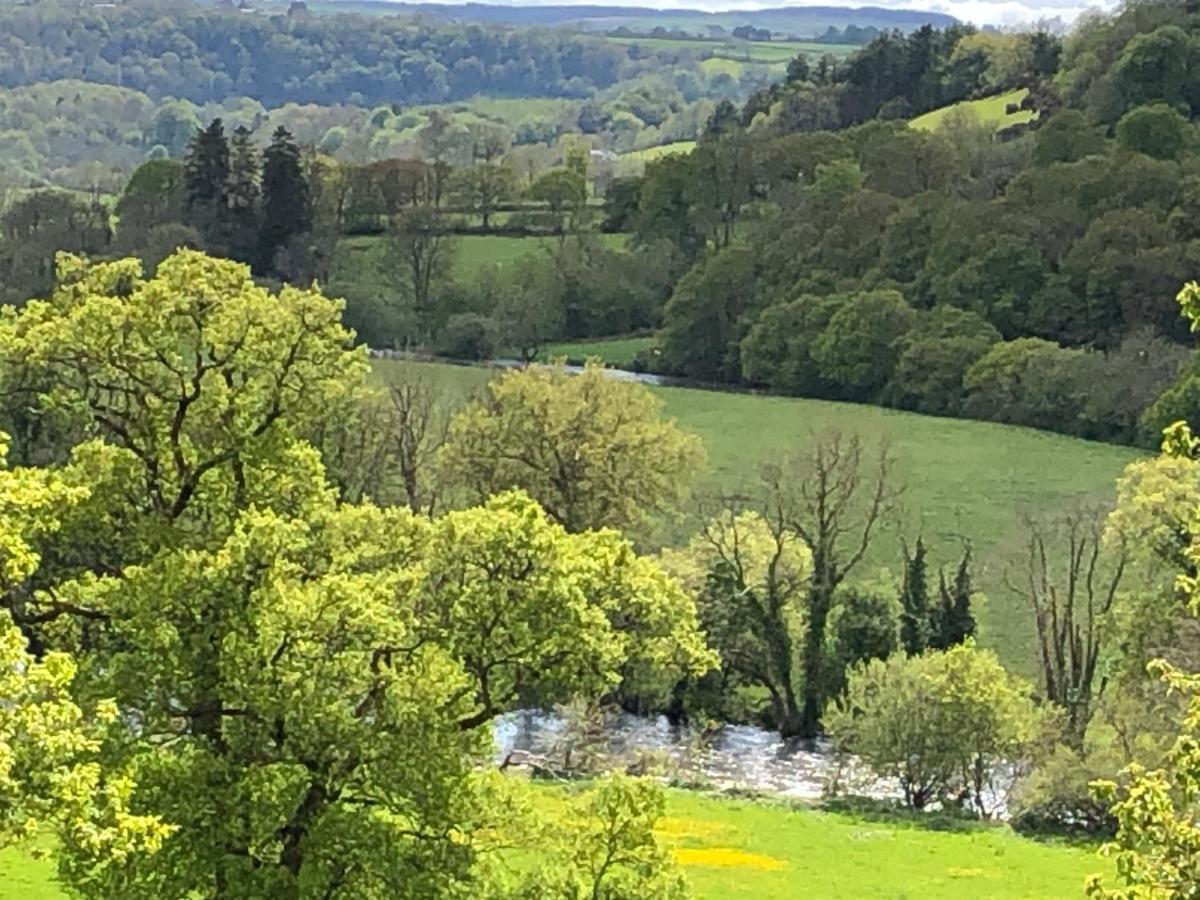 Llandysul Stables Cottage, Idyllic Location Stunning Views מראה חיצוני תמונה